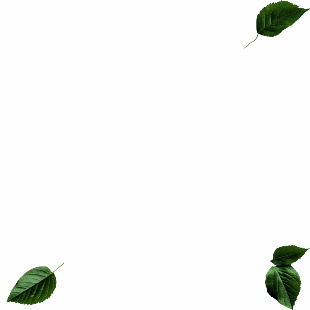 Ontwerp zonder titel (7)