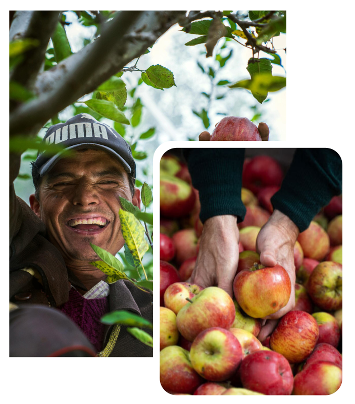 Ontwerp zonder titel (9)